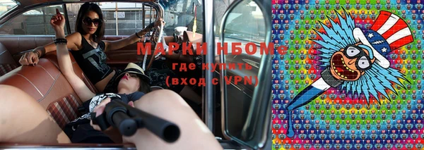 крисы Аркадак