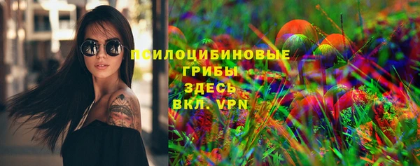 крисы Аркадак