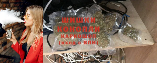 крисы Аркадак