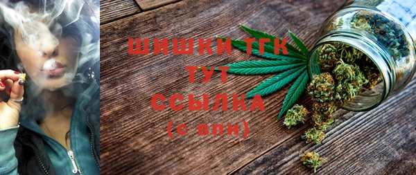 крисы Аркадак